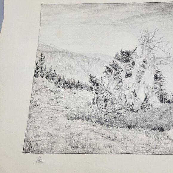 Landscape Scrub Trees Art Print Unframed Black White Signed Lester E Varian - Picture 2 of 7